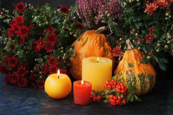 Decoración de acción de gracias de otoño — Foto de Stock