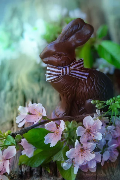Cartão de Páscoa com coelho — Fotografia de Stock