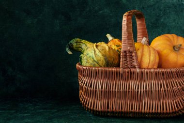 sepetteki kabaklar