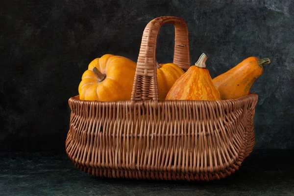 Sepet içinde kabak hasat