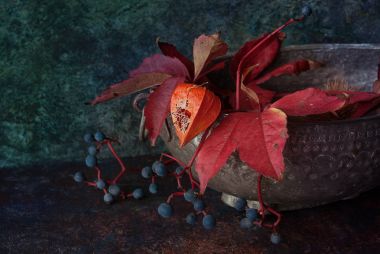 Physalis ile sonbahar dekorasyonu
