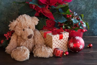 Noel hediyesi kış bitkileri ile