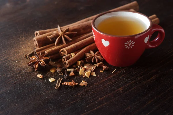 Chá quente de inverno com especiarias — Fotografia de Stock