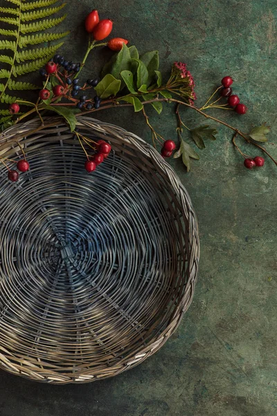 Autumn table decor — Stock Photo, Image