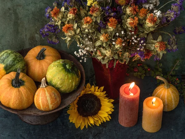 Thanksgiving decor with pumpkins — Stock Photo, Image
