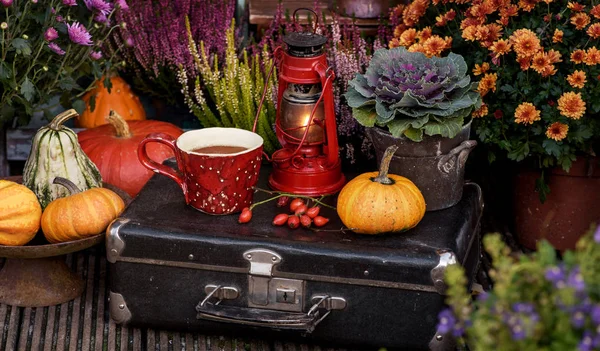 Fleurs d'automne avec tasse de thé — Photo