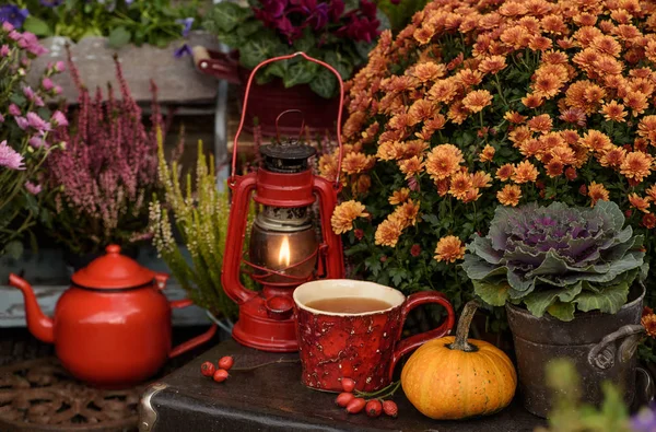 Flores de otoño con taza de té — Foto de Stock