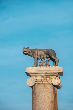Capitoline Wolf: Dişi kurdun Romulus 'u emziren heykeli (Roma' nın kurucusu) ve Remus 'un mavi gökyüzü arka planında Capitoline Müzesi yakınlarındaki sütunlarda.