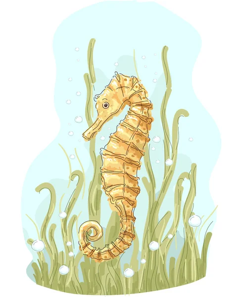 Sea Horse Illustration — Stock Photo, Image