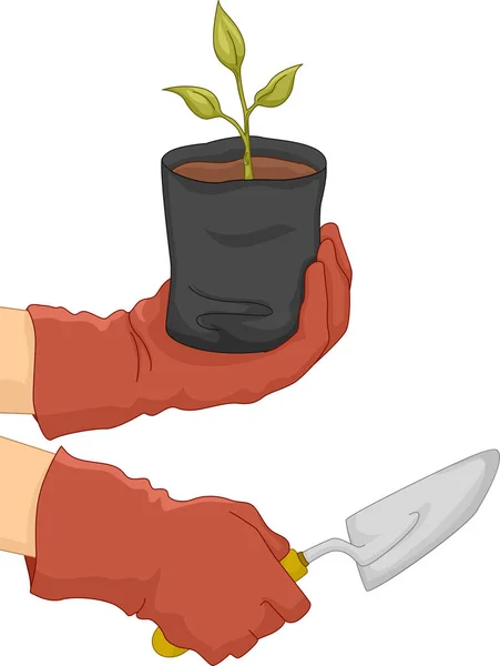 Hand aanplant illustratie — Stockfoto