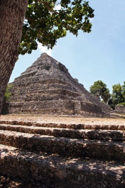 Chacchoben Maya harabelerini Meksika