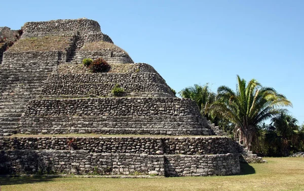 Chacchoben Maya Harabelerini Meksika — Stok fotoğraf