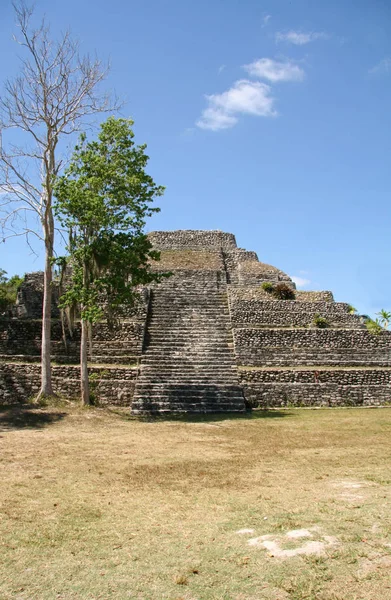 Chacchoben Maya Harabelerini Meksika — Stok fotoğraf