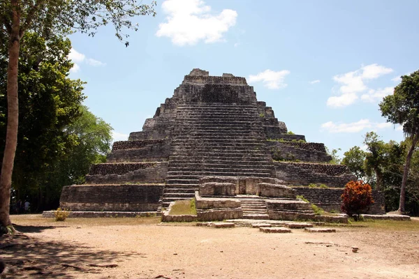 Chacchoben Maya Harabelerini Meksika — Stok fotoğraf