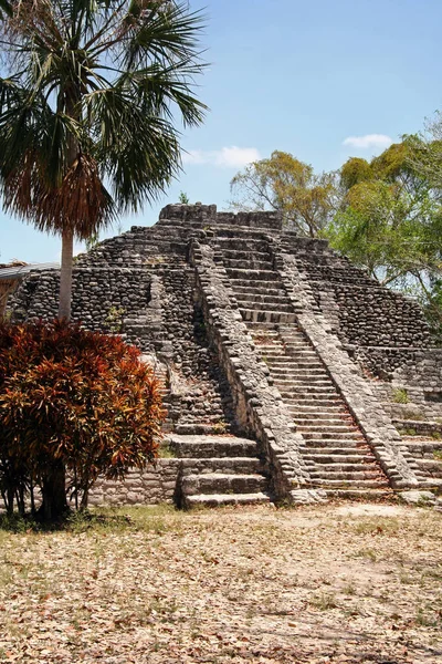 Chacchoben Maya Harabelerini Meksika — Stok fotoğraf