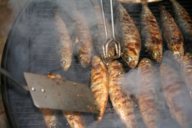 Yaz aylarında piknik Barbekü balığı balık kızartma