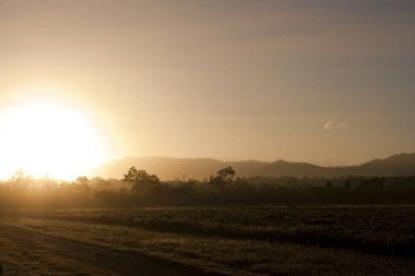 Sabah gündoğumu Avustralya ağaçlar ve dağlar