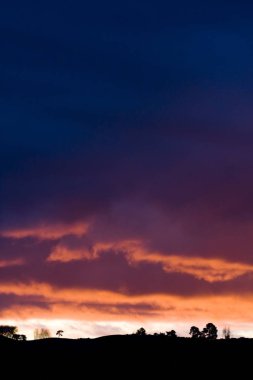 Eğri yatay, ağaçlar üzerinde dramatik günbatımı