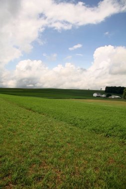 Çiftlik Barn Hill ve açık yeşil alan ile