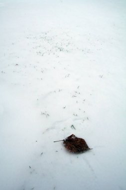 Kar ile yere yalnız yaprak