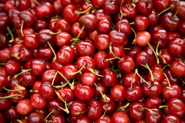 Küme bir çiftçi pazarda taze kiraz