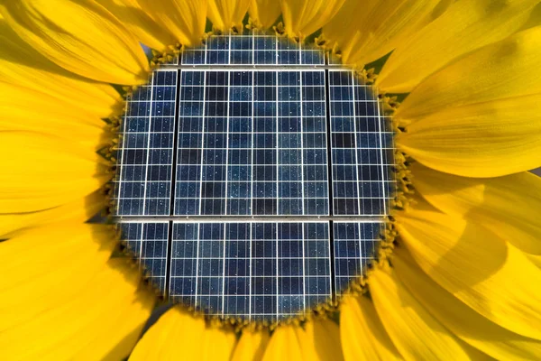 Solární Panely Uvnitř Slunečnice Koncepce — Stock fotografie