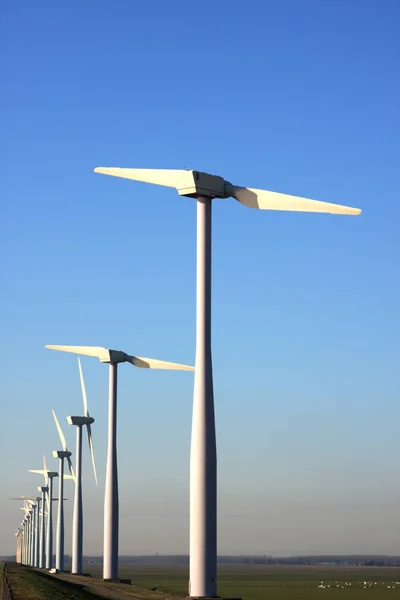 Два Лопаткового Вітряк Ферм Нідерландах — стокове фото
