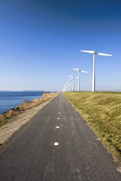 Два Лопаткового Вітряк Ферми Нідерландах — стокове фото