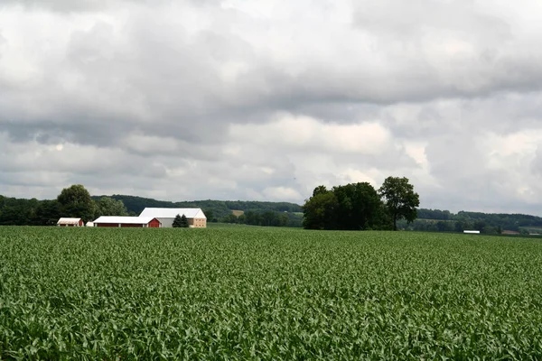 Farm House Barn Hill Open Green Field — Stock Photo, Image