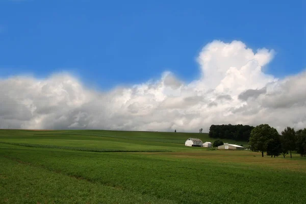 Glooiende Groene Heuvels Landbouwgrond Met Blauwe Lucht — Stockfoto