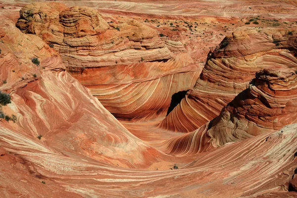 Monumento Nacional Los Acantilados Vermilion North Coyote Buttes —  Fotos de Stock