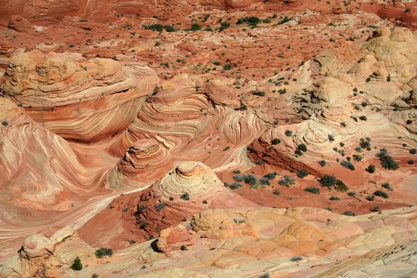 Vermilion Cliffs Nationaal Monument Noord Coyote Buttes — Stockfoto