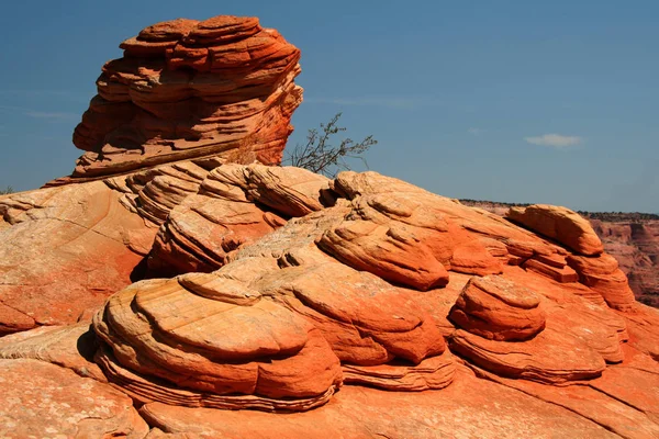 Vermilion Cliffs National Monument North Coyote Buttes — Stock Photo, Image