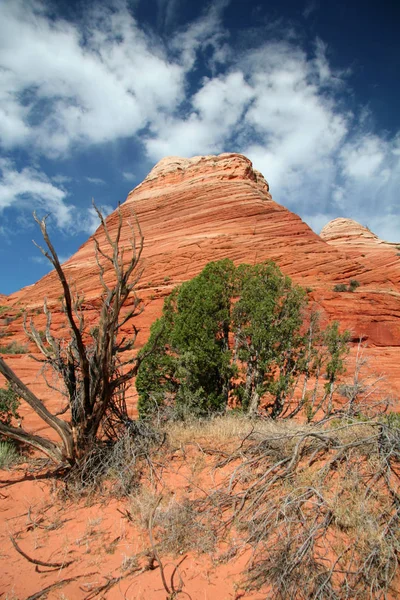 Monument National Des Falaises Vermilion Buttes Coyote Nord — Photo