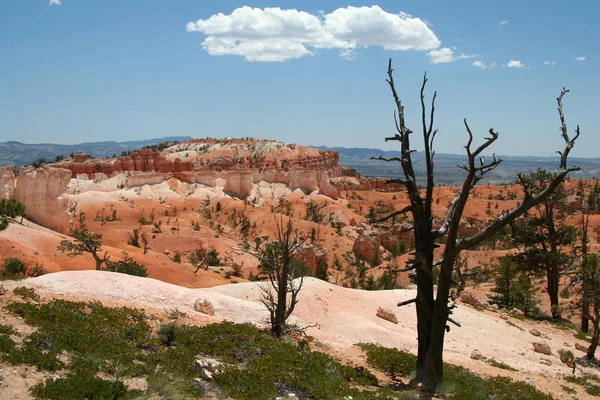 Monumento Nacional Los Acantilados Vermilion North Coyote Buttes — Foto de Stock