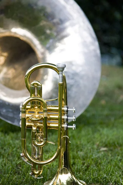 Trompette Avec Instruments Musique Arrière Plan — Photo