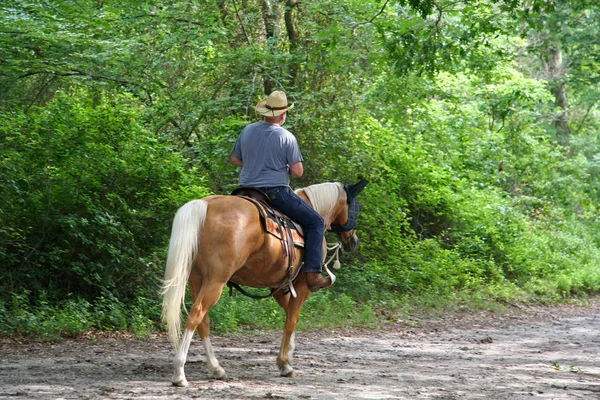 Man Horseback Riding Trail — Stock Photo, Image