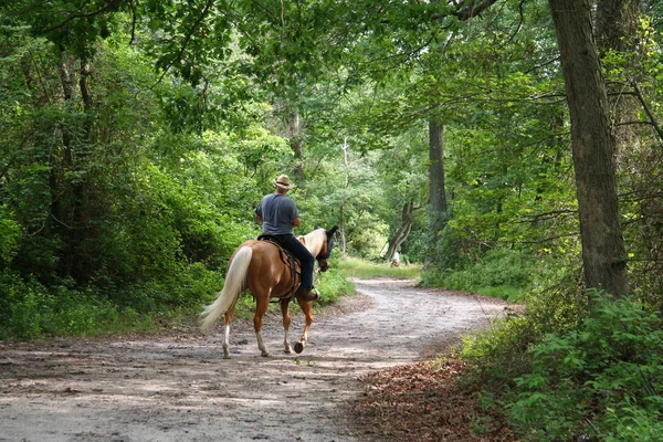 Homme Promenade Cheval Sur Sentier — Photo