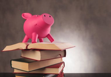 pembe kumbara ayakta kitaplar üzerine 