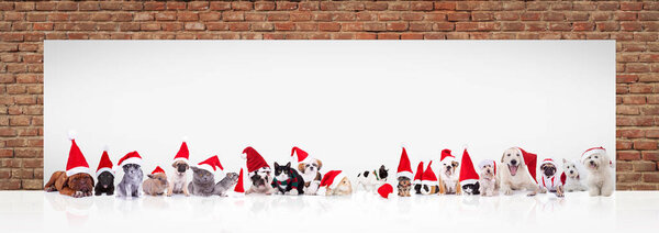 Санта-Клаус животных рядом с большой пустой рекламный щит
