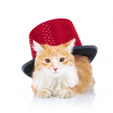 bored orange cat with a red hat clipart