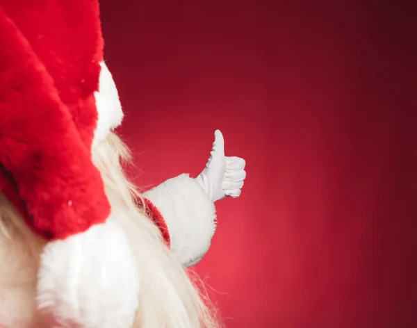 Recorte visão traseira de santa claus fazendo sinal ok — Fotografia de Stock