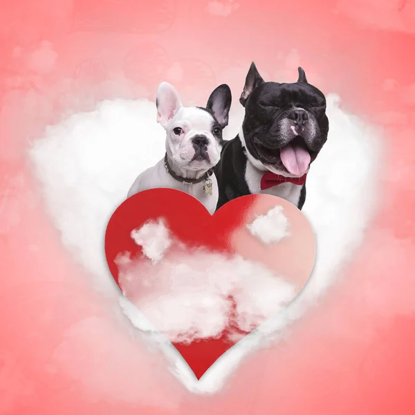 Enamorados bulldogs franceses cachorros en una nube en forma de corazón —  Fotos de Stock