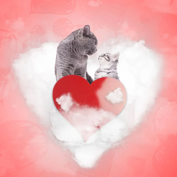 Couple romantique de chats sur un nuage d'amour — Photo