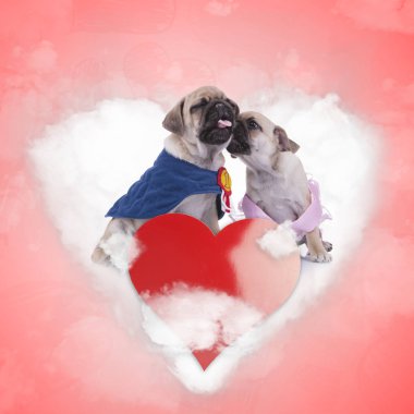 bir numaralı sevgilisi aşk Cloud öperken Prenses pug