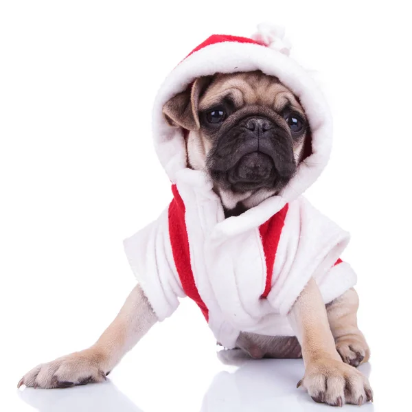 Zittende pug draagt santa kostuum kijkt naar de kant — Stockfoto