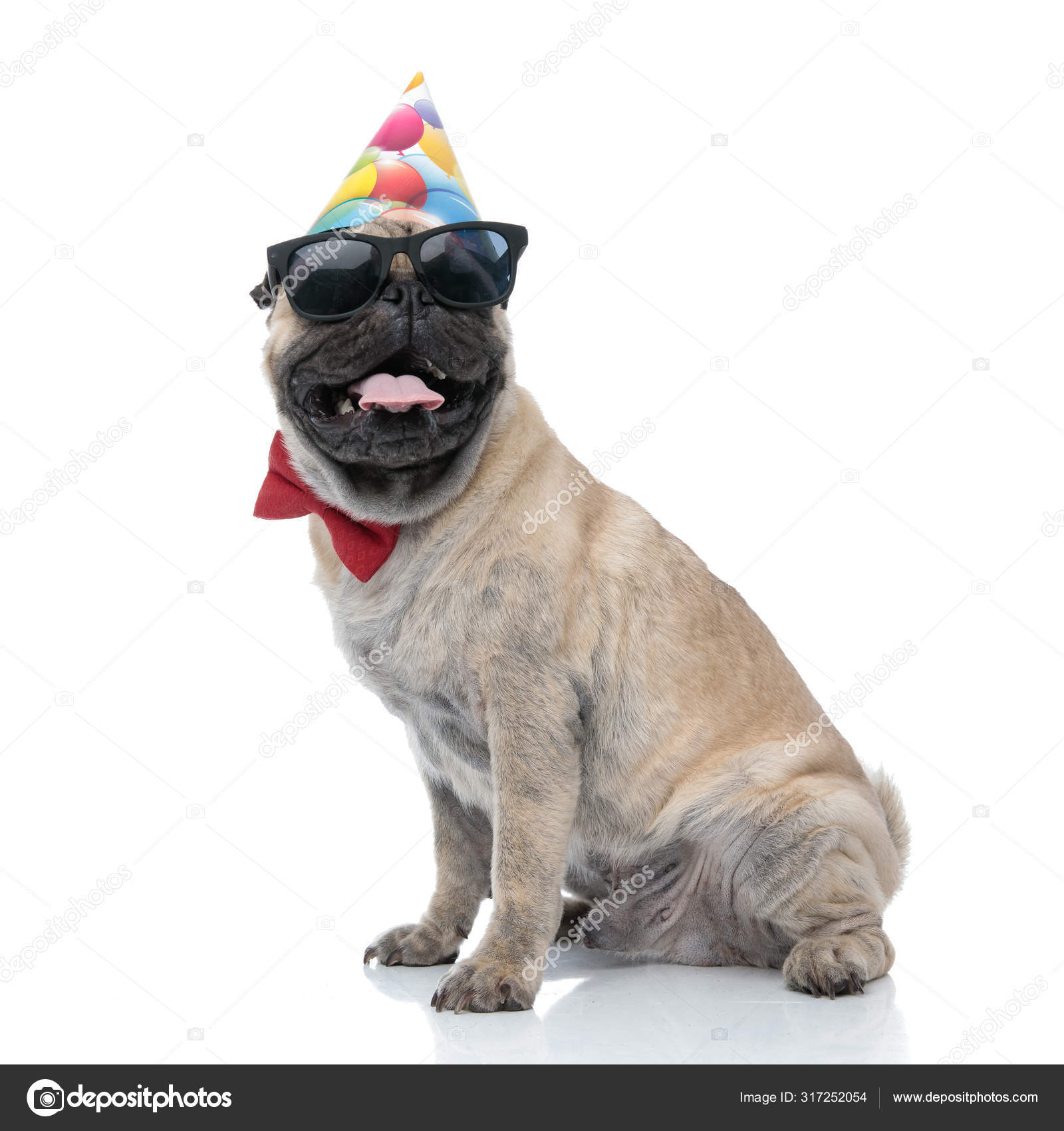 pug party hat