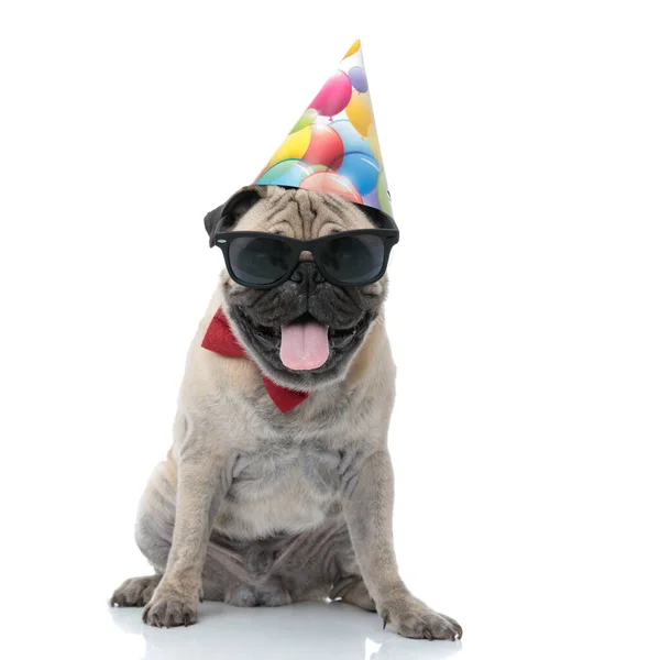 Coole pug met zonnebril en verjaardagshoed — Stockfoto