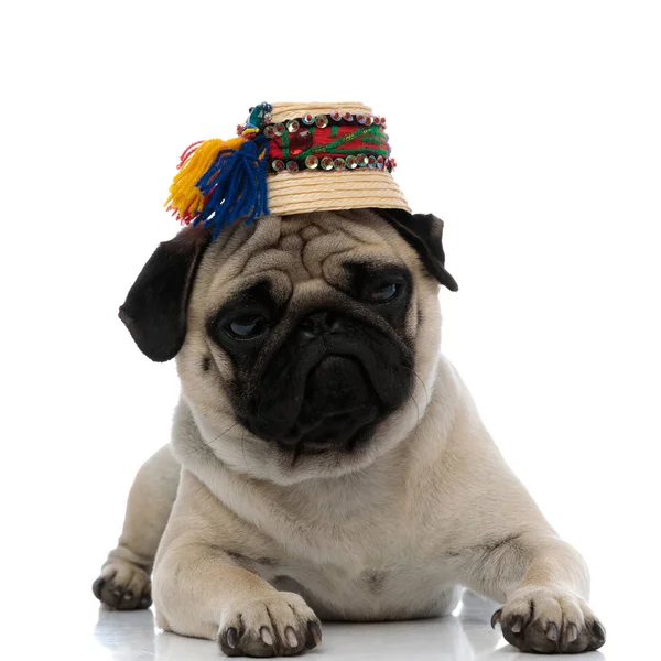Pug perturbado usando um chapéu romeno tradicional — Fotografia de Stock