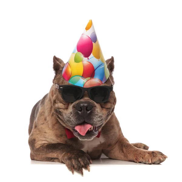 Lindo americano bravucón usando sombrero de cumpleaños y gafas de sol — Foto de Stock